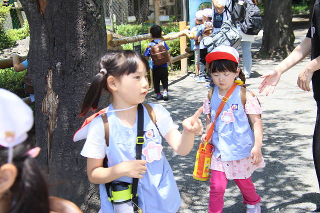 202606Ahamura0409.jpg