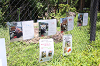 202606Ahamura0412_thumb.png