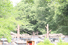 202606C3Dchikozan0268_thumb.png