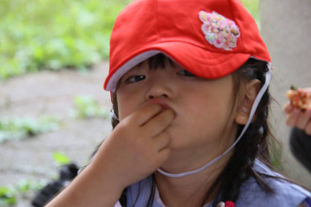202606C3Dchikozan0332.jpg