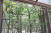 202606C3Dchikozan0524_thumb.png