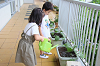 202606tanjo0536_thumb.png