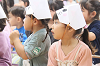 202606tanjo0831_thumb.png