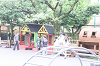 202606titi0312_thumb.png