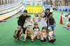 202607camp1256_thumb.png