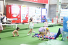 202607camp1683_thumb.png