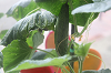 202607camp3352_thumb.png