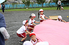202609maruyamaAB0431_thumb.png