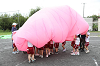 202609maruyamaAB0467_thumb.png