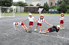 202609maruyamaAB0518_thumb.png