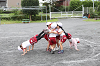 202609maruyamaAB0529_thumb.png