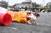 202609undokai0552_thumb.png