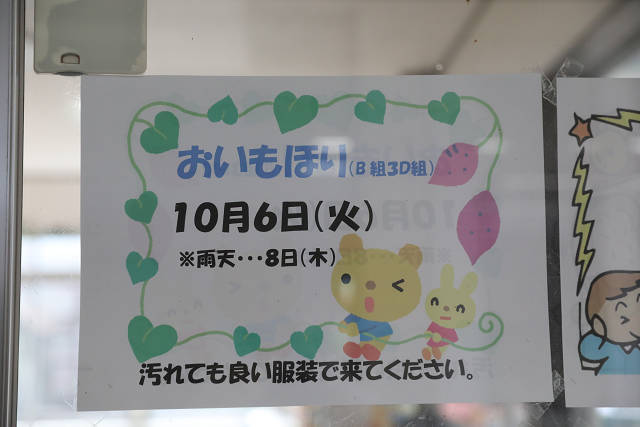 202610B3Doimo0559.jpg