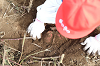 202610B3Doimo0576_thumb.png
