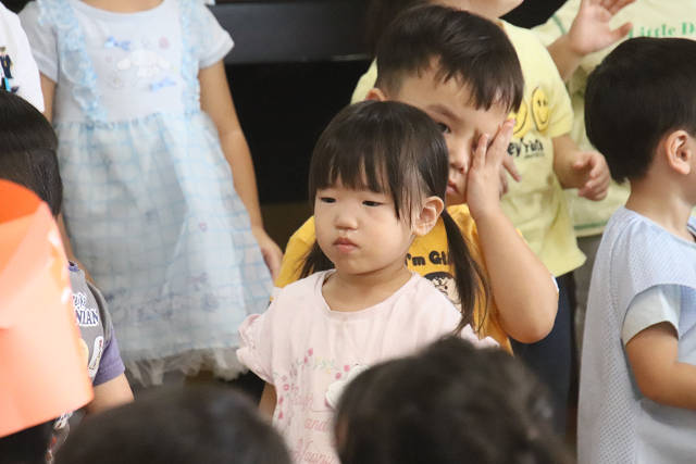 202610bd0256.jpg