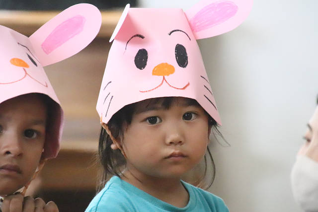 202610bd0291.jpg