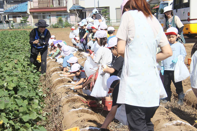 202610ACimo0130.jpg