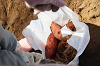 202610ACimo0169_thumb.png