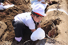 202610ACimo0175_thumb.png