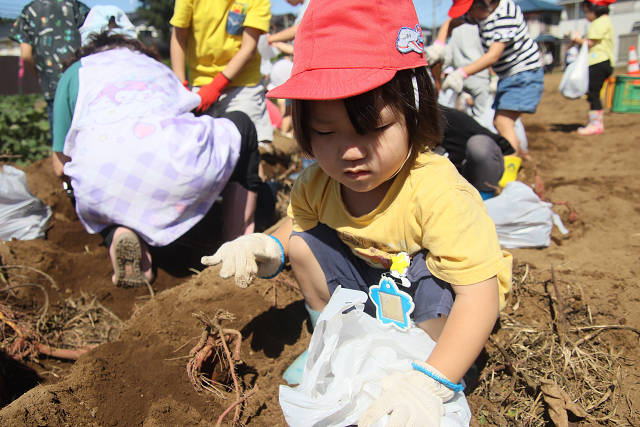 202610ACimo0192.jpg