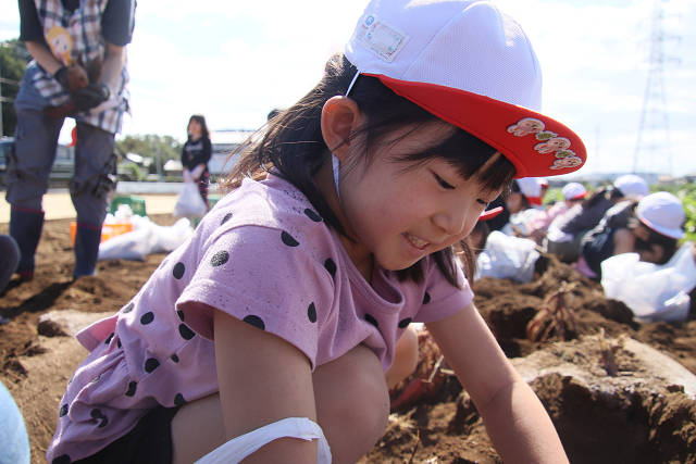 202610ACimo0202.jpg