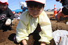 202610ACimo0215_thumb.png