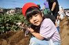 202610ACimo0245_thumb.png