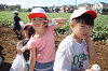 202610ACimo0279_thumb.png